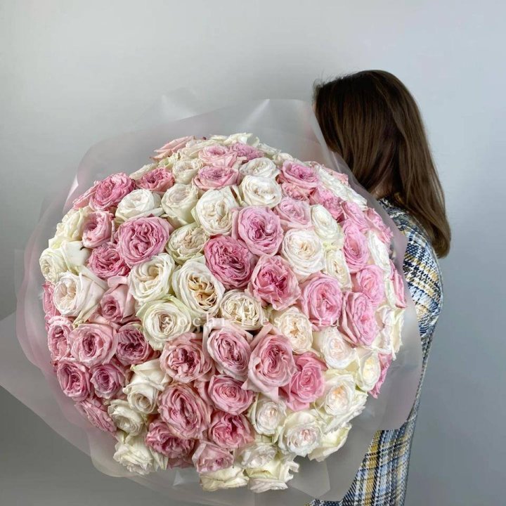 101 роз Охара в Невинномысске