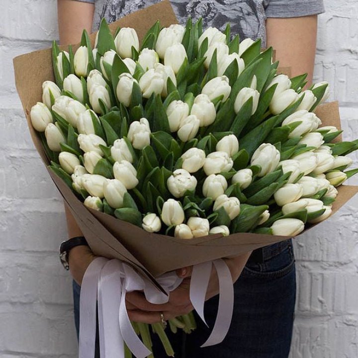 101 тюльпан сноу в Невинномысске