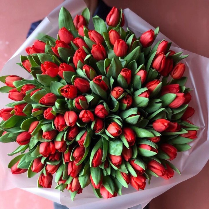 101 красный тюльпан в Невинномысске